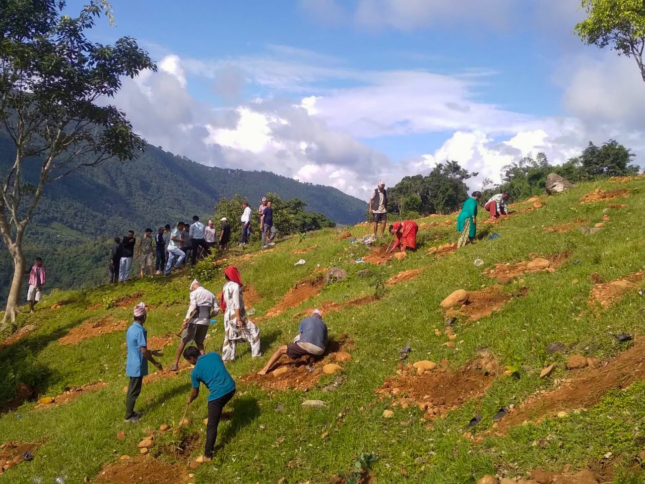 धादिङ : त्रिपुरासुन्दरीमा ग्रह र राशि बाटिका निर्माण