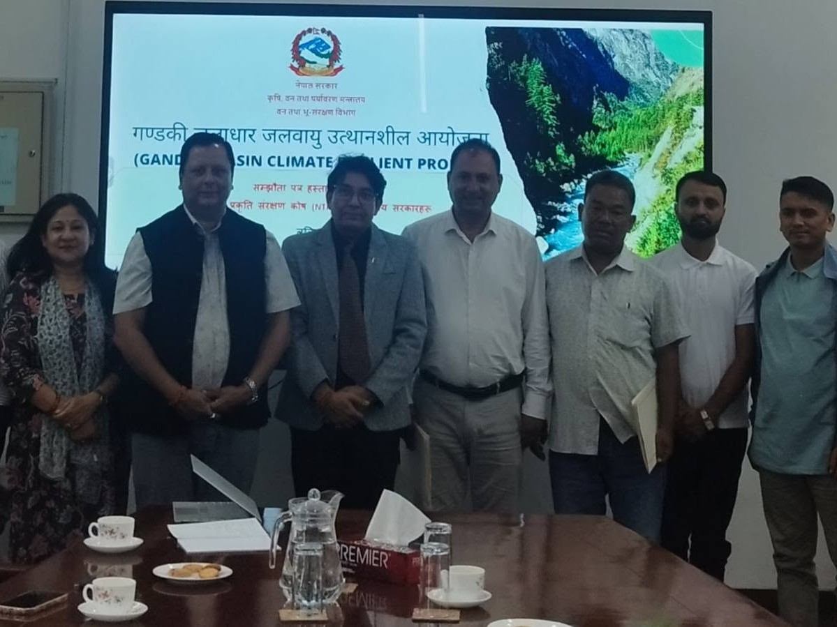 त्रिपुरासुन्दरीमा ३०० हेक्टर क्षेत्रफलमा जलवायु उत्थानशील धान र गहुँ खेती गरिँदै