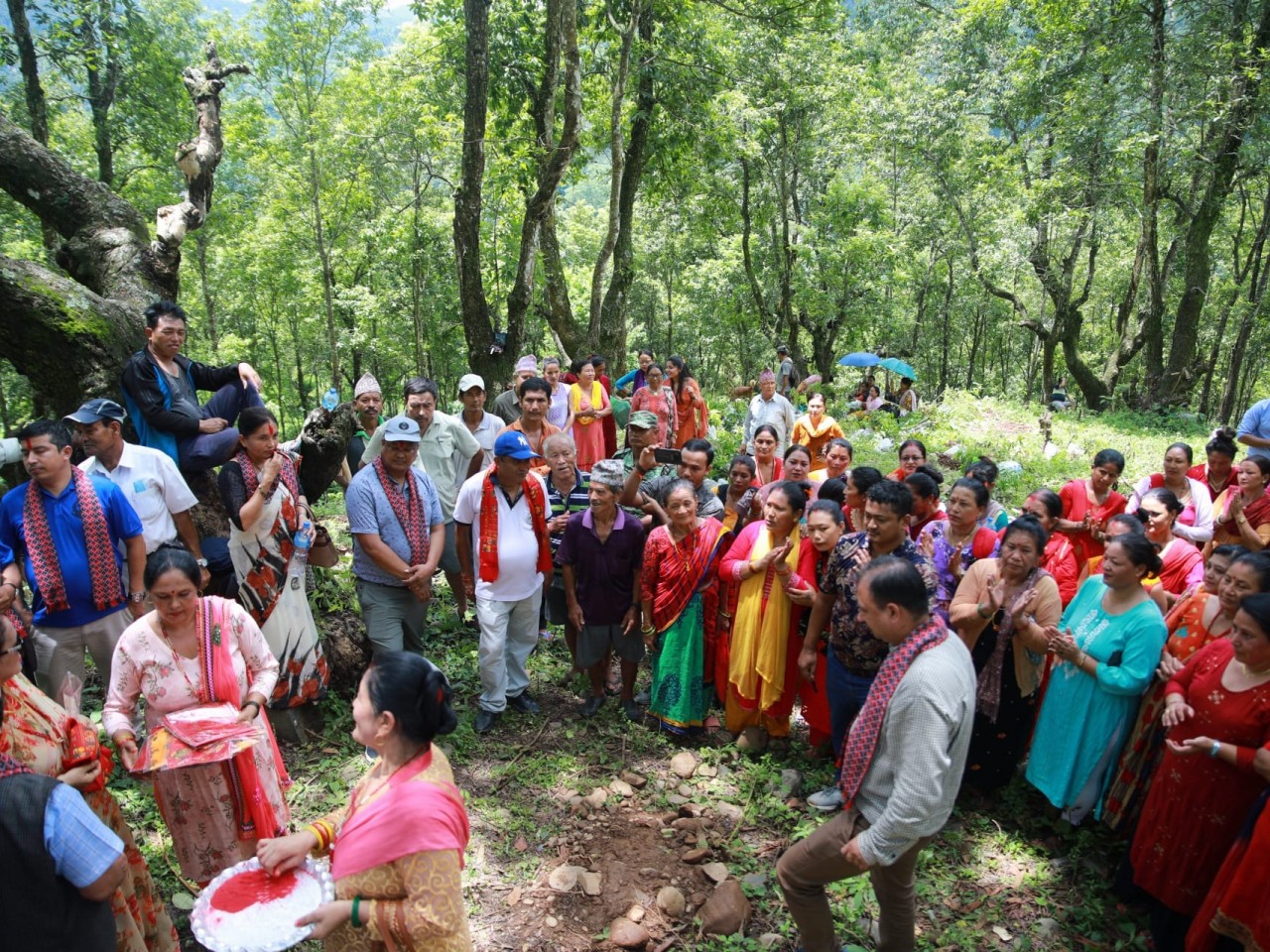 धादिङको त्रिपुरासुन्दरीमा सामुदायिक वन दिवशको अवसरमा सहकारी बगैचा तथा वृक्षारोपण कार्यक्रम