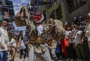 गाईजात्राको अवसरमा बागमती प्रदेशभर सार्वजनिक बिदा