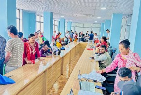 काठमाडौंमा बस्ने धादिङ त्रिपुरासुन्दरीका २६५ जनाकाे परिचय पत्र नविकरण