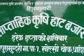 धादिङ,त्रिपुरासुन्दरी : भोलि पनि साप्ताहिक कृषि हाट बजार सल्यानटार खोल्सी चोकमा