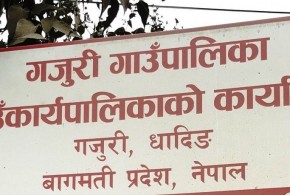 गजुरी गाउँपालिकाको पहिलो पञ्चवर्षीय आवधिक योजना निर्माण गोष्ठी सम्पन्न