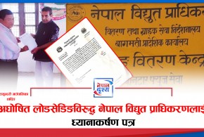 धादिङको त्रिपुरासुन्दरी गाउँपालिकाका अध्यक्षबाट अघोषित लोडसेडिङविरुद्ध नेपाल विद्युत प्राधिकरणलाई ध्यानाकर्षण पत्र