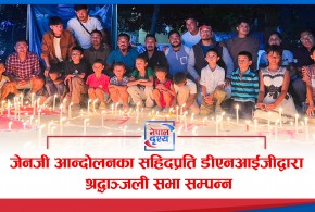 जेनजी आन्दोलनका सहिदप्रति डीएनआईजीद्वारा श्रद्धाञ्जली सभा सम्पन्न
