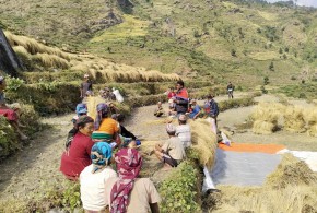 गाउँ-गाउँमा जनताको अधिकार पुगेको छैन : राजेन्द्र पराजुली