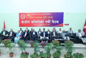 पूर्व राष्ट्रपति भण्डारीलाई राजनीतिमा आउन नमिल्ने एमालेको निष्कर्ष