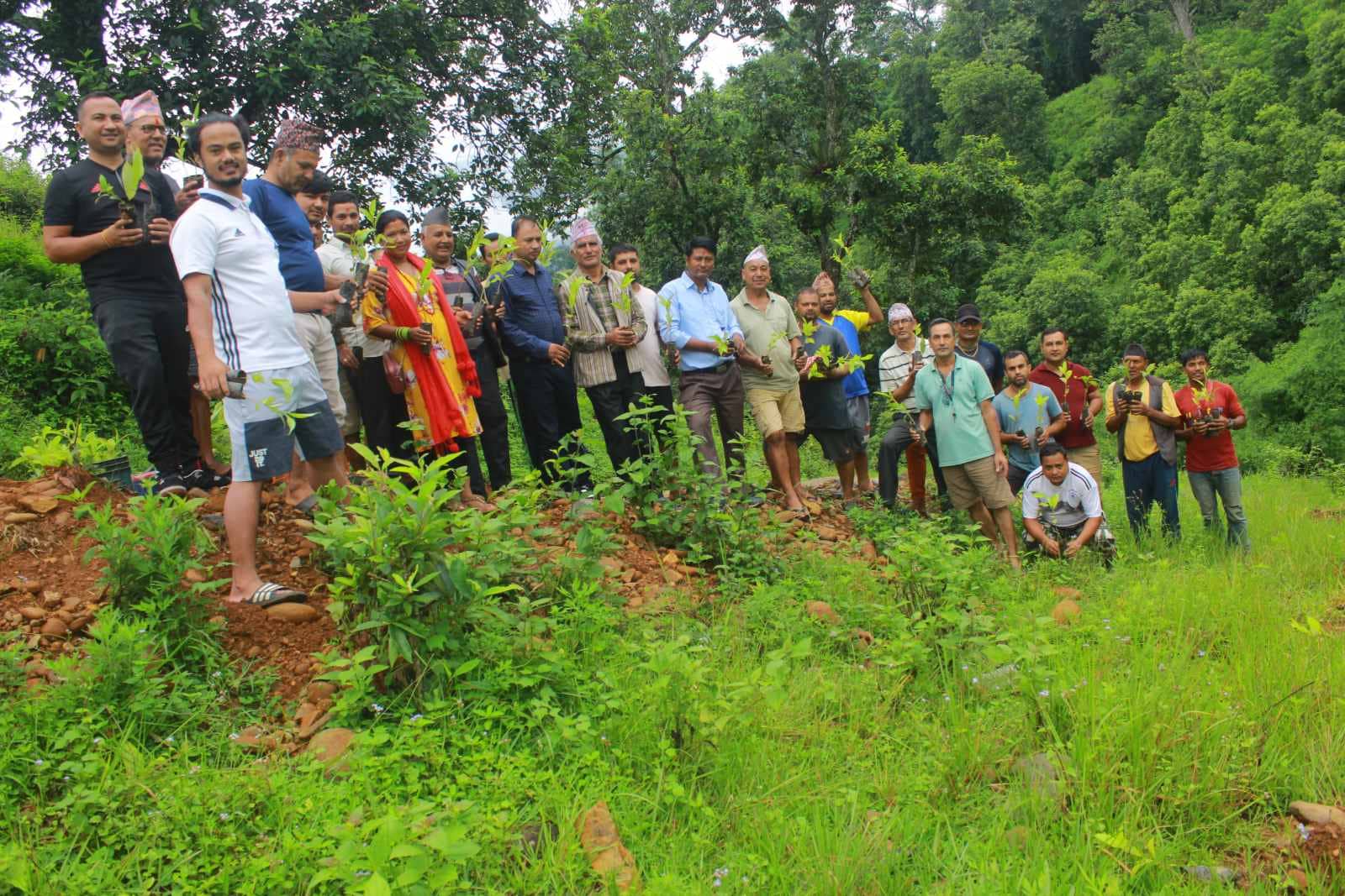 विपि कोइरालाको ४० औं स्मृति दिवस : त्रिपुरासुन्दरी गाउँपालिका धादिङको वृक्षारोपण