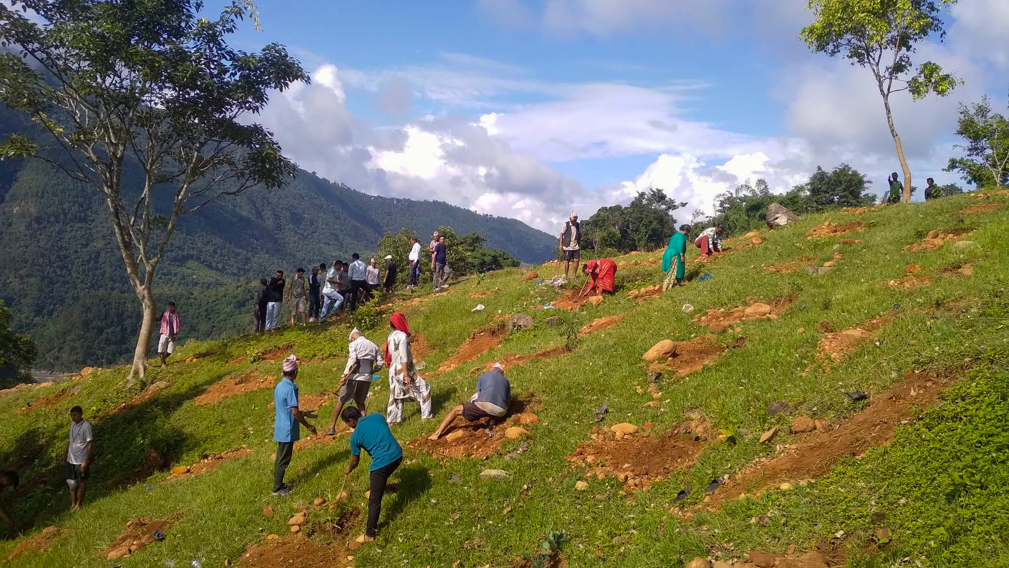 धादिङ : त्रिपुरासुन्दरीमा ग्रह र राशि बाटिका निर्माण