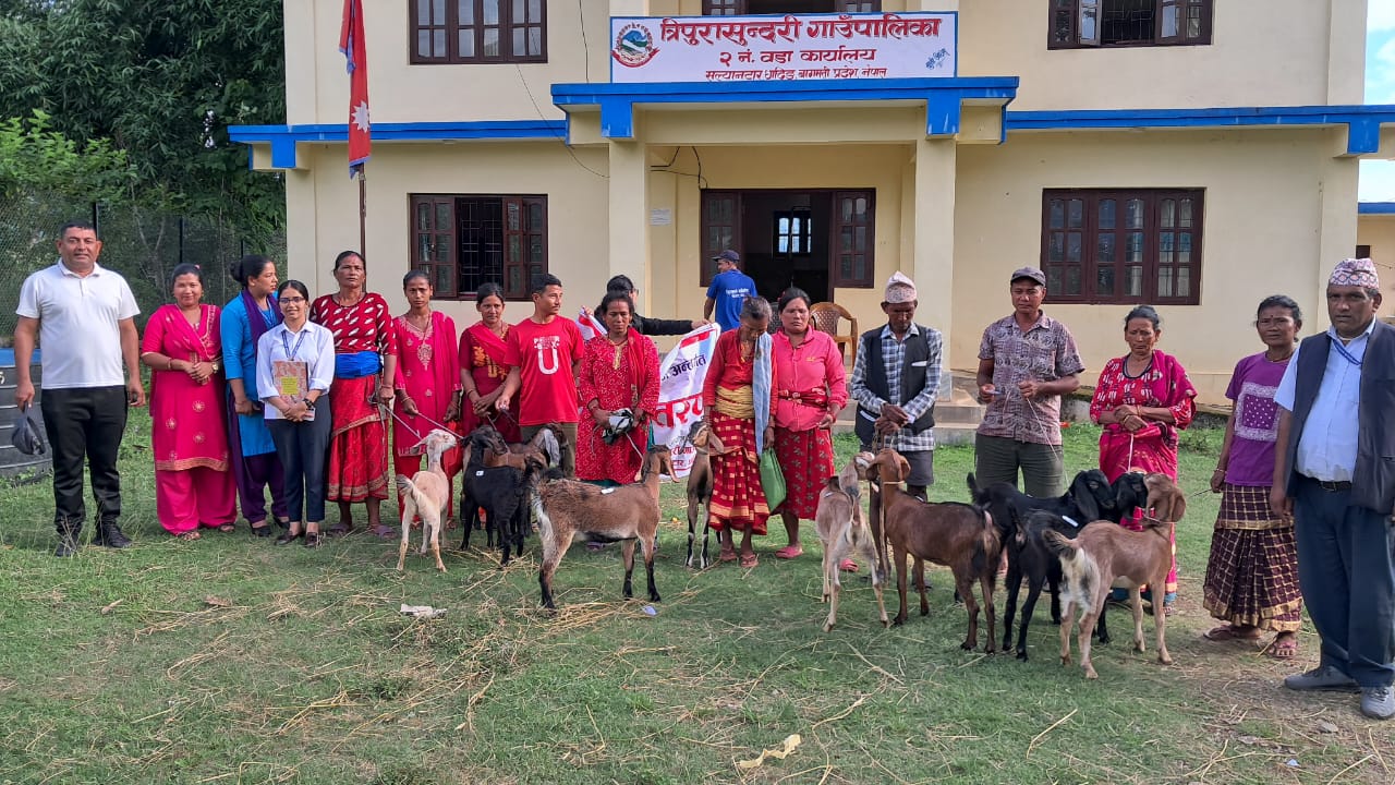 धादिङ : गरिबसँग विशेश्वर कार्यक्रमलाई निरन्तरता,वडा नम्बर २ पनि किसानलाई दिइयाे बाख्रा